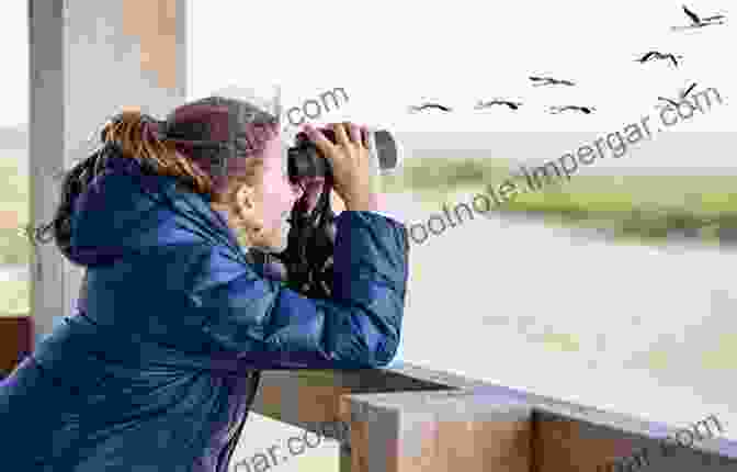 A Birdwatcher Observing A Bird Through Binoculars Birds And Birding At Cape May: What To See And When And Where To Go