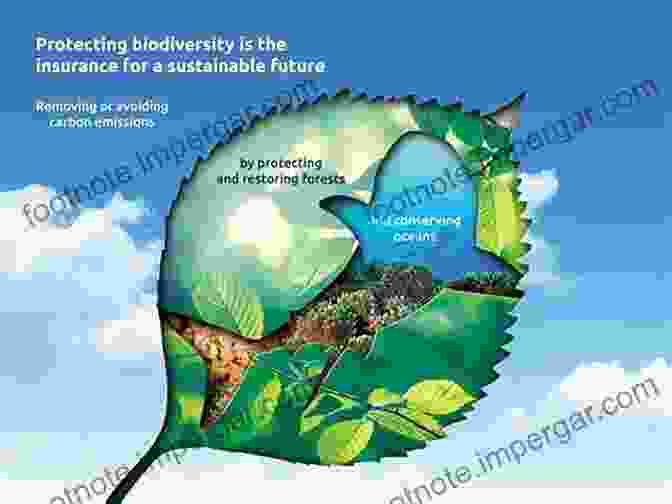 A Community Meeting Focused On Biodiversity Conservation, Fostering Collaboration And Shared Ownership Drafting A Conservation Blueprint: A Practitioner S Guide To Planning For Biodiversity