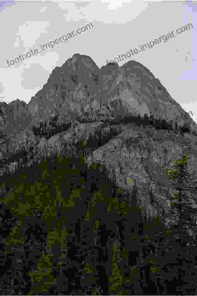 A Panoramic View Of Rugged Mountains And A Vast Wilderness Trail From The Long Hike (Jayne S Nature (e Text Editions))