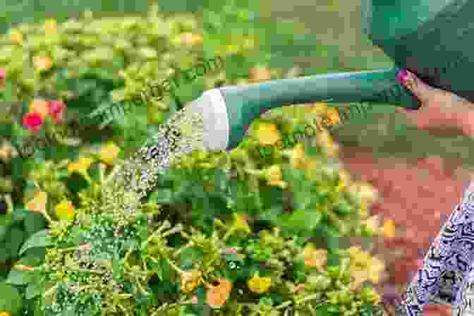 A Person Watering Plants In A Garden, Symbolizing The Value Of Hard Work And Dedication. 12 Lessons On Life I Learned From My Garden : Spiritual Guidance From The Vegetable Patch