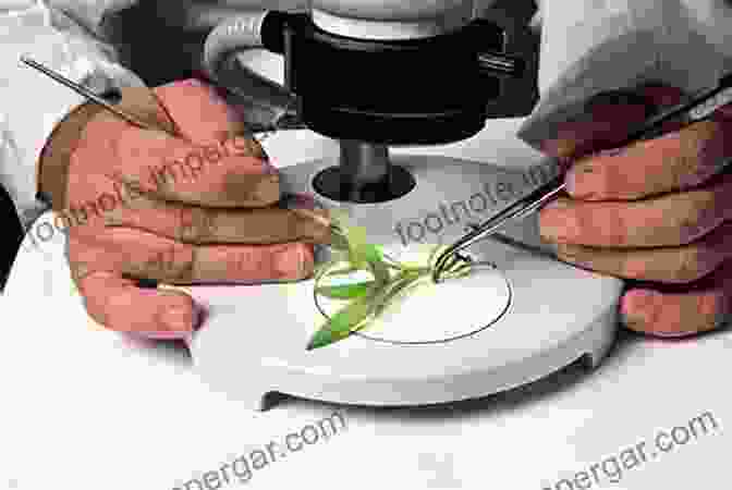 A Researcher Examining Plant Tissue Samples Under A Microscope Encyclopaedia Of Methods For Soil Water Fertilizer And Plants Analysis (Soil Genesis And Classification)