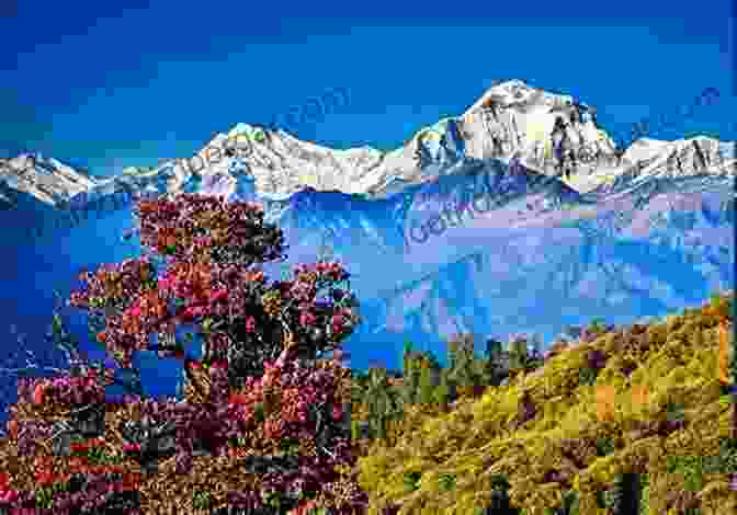 A Stunning Panorama Of The Himalayas, Capturing The Towering Peaks And Glaciers. Mountains: A Photography Robert W Righter