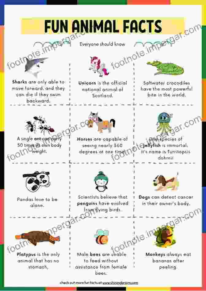 Amazing Facts For Kids With High Quality Pictures Little Kids Picture Animals Book Cover Shark Information Book: Amazing Facts For Kids With High Quality Pictures Little Kids Picture (Animals Facts Info With High Quality Pics For Kids)