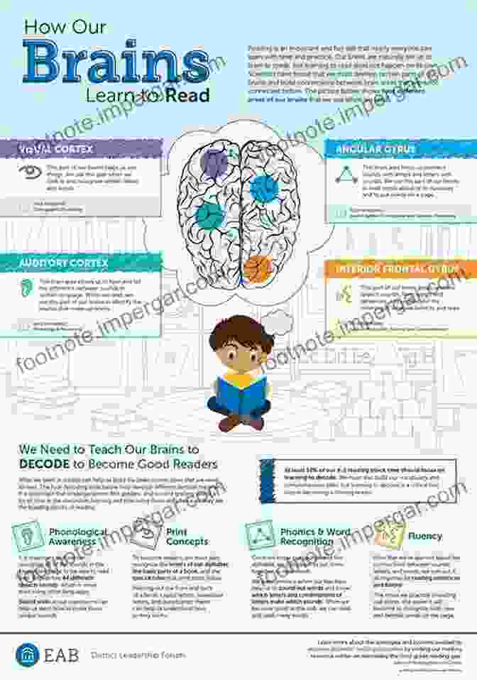 Author Image The Human Advantage: A New Understanding Of How Our Brain Became Remarkable