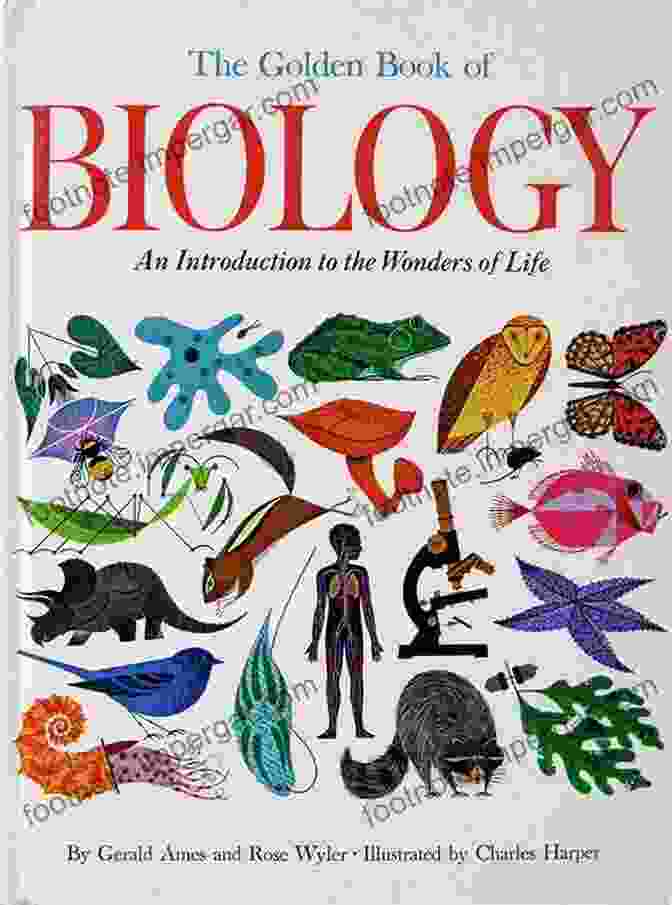 Book Cover Of 'Biology' By Simon Wendt, Featuring A Vibrant Illustration Of A Cell Biology Simon Wendt