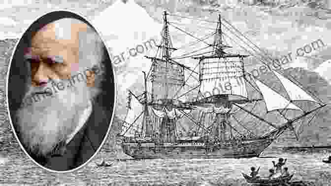 Charles Darwin Aboard The HMS Beagle A Brief Guide To Charles Darwin (Brief Histories)