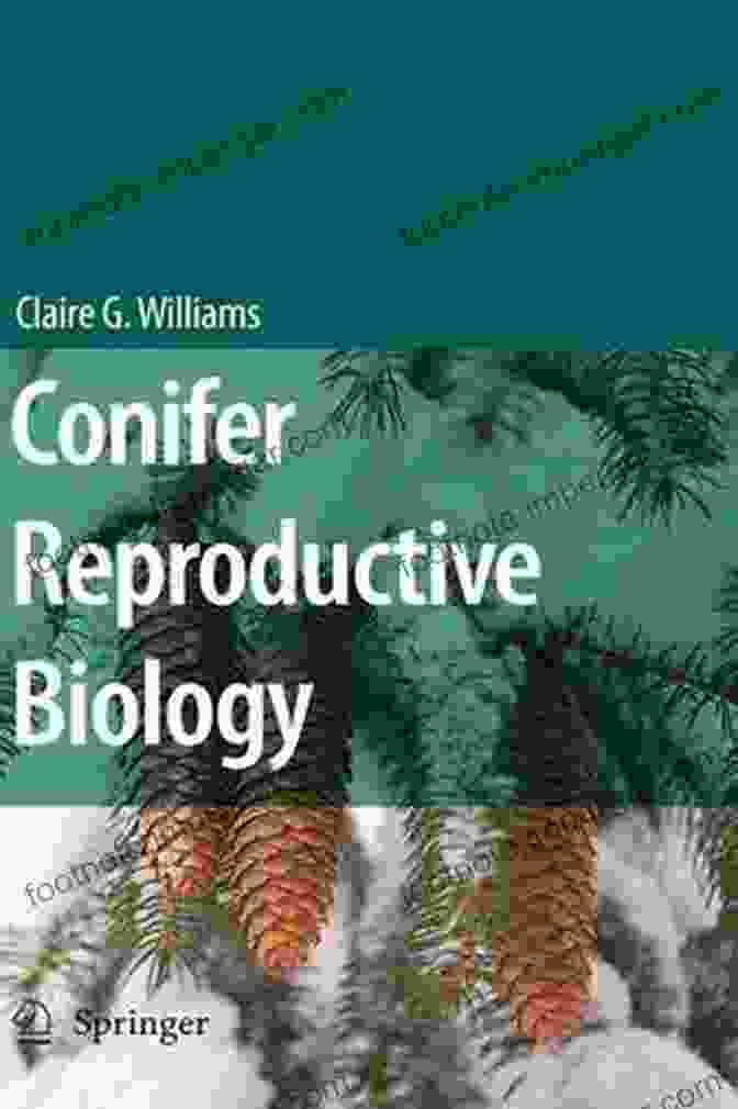 Conifer Reproductive Biology Book Cover Conifer Reproductive Biology Claire G Williams