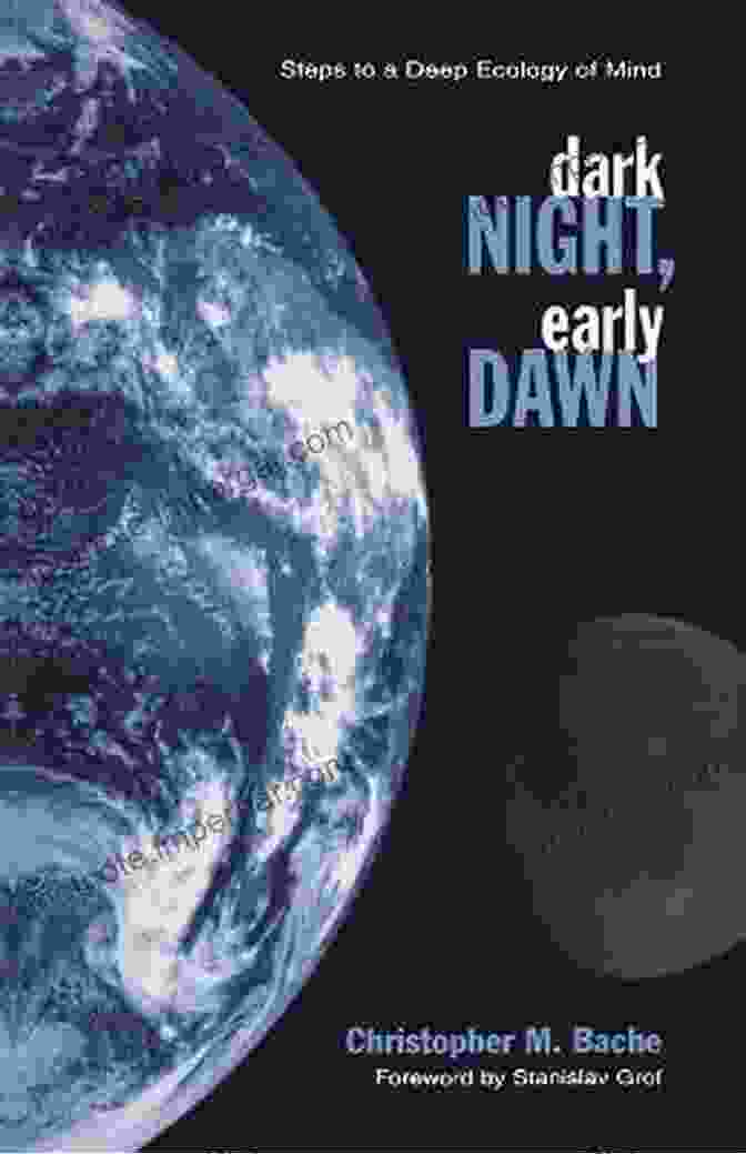 Dark Night, Early Dawn Book Cover, Featuring A Silhouette Of A Woman Standing In A Dimly Lit Room, Surrounded By Shadows. Dark Night Early Dawn: Steps To A Deep Ecology Of Mind (SUNY In Transpersonal And Humanistic Psychology)