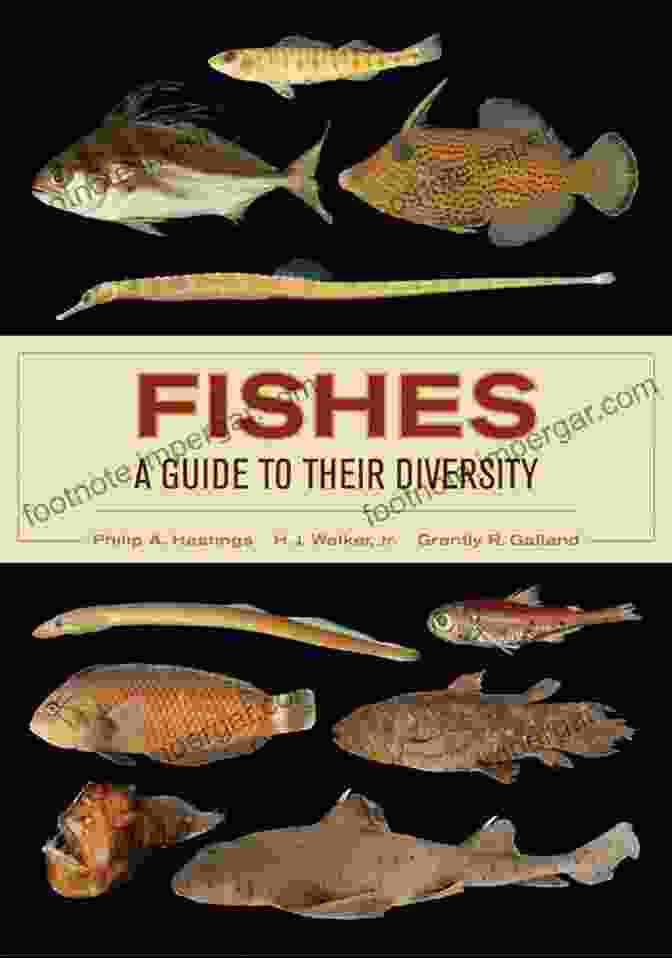 Fishes Guide To Their Diversity Book Cover Fishes: A Guide To Their Diversity