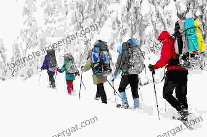 Group Of Hikers Trekking Through A Mountain Pass With Panoramic Views Of Snow Capped Peaks. The Alps Jackie Speicher