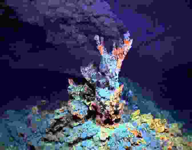 Hydrothermal Vents Oasis Of Life In The Depths The Silent Deep: The Discovery Ecology And Conservation Of The Deep Sea