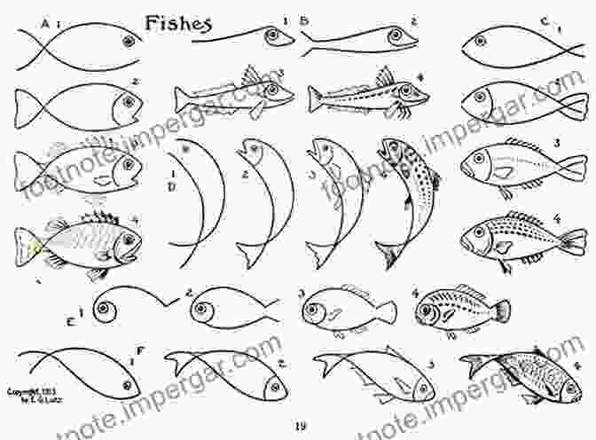 Inside Pages Of The Book Showing Step By Step Instructions For Drawing Different Types Of Fish Mommy Help Me Draw Fish