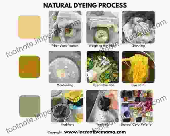 Laboratory Setup With Various Chemical Solutions And Mordants Used In Natural Dyeing Postmodern Winemaking: Rethinking The Modern Science Of An Ancient Craft