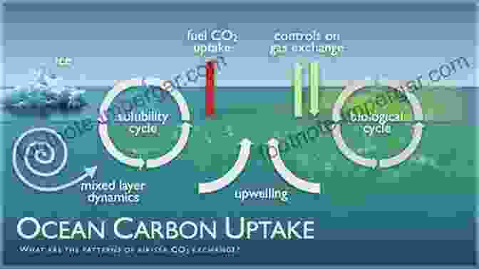 Ocean Currents And Carbon Absorption Regulating Earth's Climate Oceans: And The Future Of The Human Race