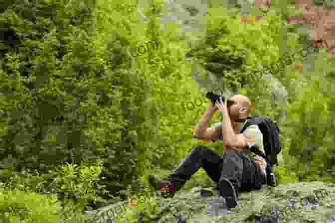 Person Birdwatching In A Forest The Complete Birds Of The World: Every Species Illustrated: The Ultimate Reference For Birdwatchers And Bird Lovers