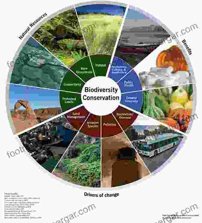 Scientists Using Advanced Equipment To Monitor Biodiversity, Ensuring Informed Conservation Decisions Drafting A Conservation Blueprint: A Practitioner S Guide To Planning For Biodiversity