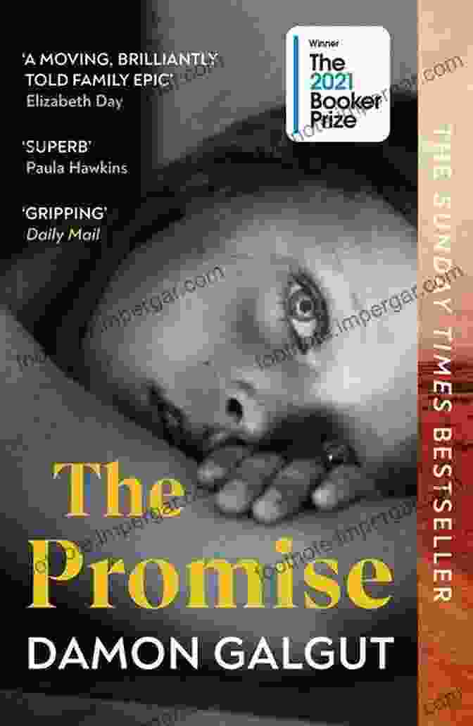 The Promise Book Cover The Promise: A Novel (Booker Prize Winner)