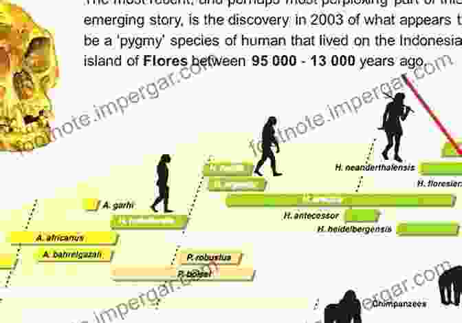 Timeline Of Human Evolution Origins And Revolutions: Human Identity In Earliest Prehistory