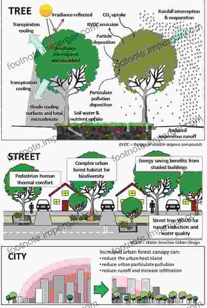 Tree Creating A Canopy Of Shade And Filtering Urban Air The Tree: A Natural History Of What Trees Are How They Live And Why They Matter