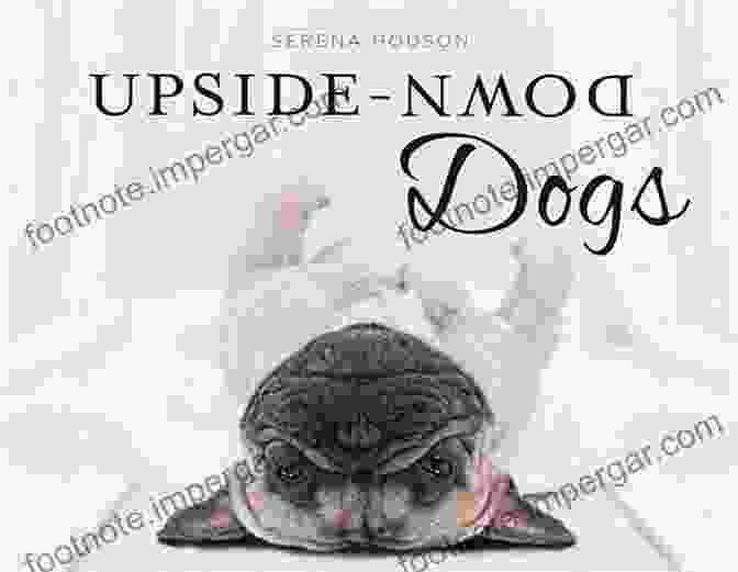 Upside Down Dogs Book Cover By Serena Hodson Upside Down Dogs Serena Hodson