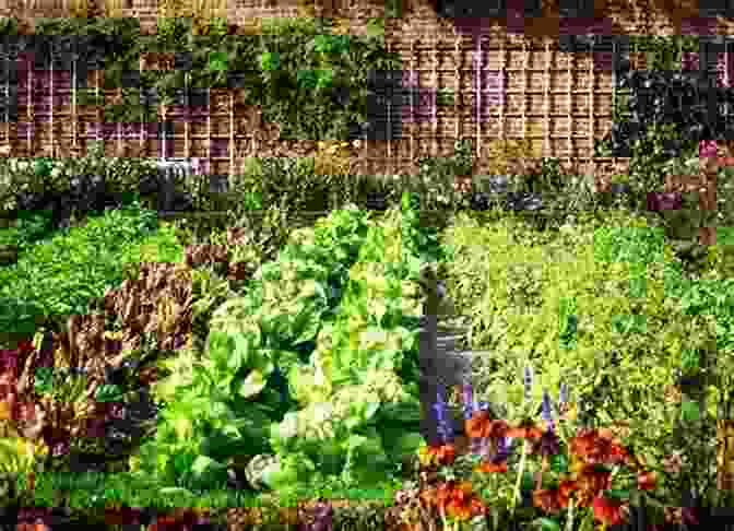 Vibrant Garden Filled With Lush Vegetables The Complete Guide To Small Scale Farming: Everything You Need To Know About Raising Beef Cattle Rabbits Ducks And Other Small Animals (Back To Basics Farming)