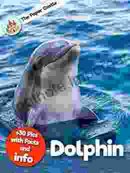 Dolphin Information Book: Amazing Facts For Kids With High Quality Pictures (Animals Facts Info With High Quality Pics For Kids)