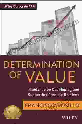 Determination Of Value: Appraisal Guidance On Developing And Supporting A Credible Opinion (Wiley Corporate F A)