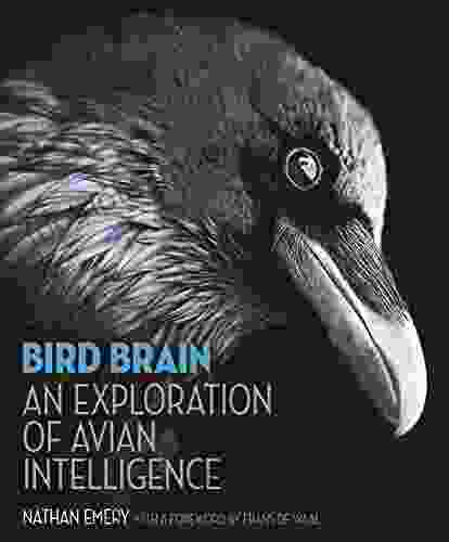 Bird Brain: An Exploration Of Avian Intelligence