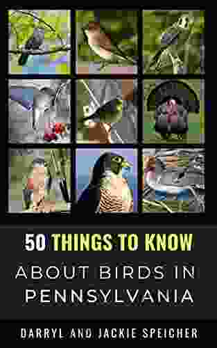 50 Things To Know About Birds In Pennsylvania : Birding In The Keystone State (50 Things To Know About Birds United States)