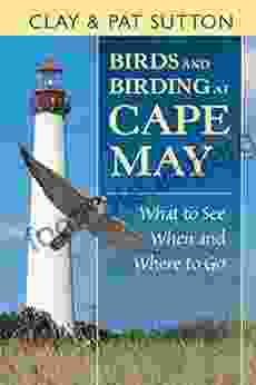 Birds And Birding At Cape May: What To See And When And Where To Go