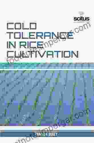 Cold Tolerance In Rice Cultivation