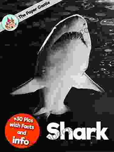 Shark Information Book: Amazing Facts For Kids With High Quality Pictures Little Kids Picture (Animals Facts Info With High Quality Pics For Kids)