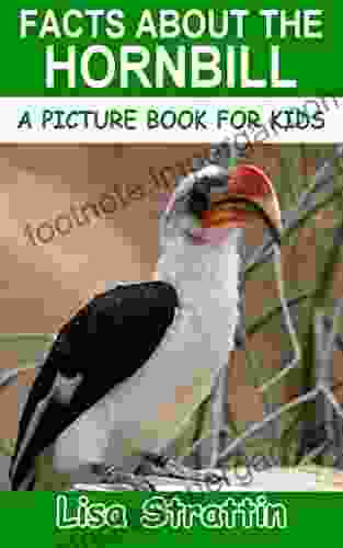 Facts About The Hornbill (A Picture For Kids 67)