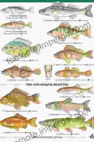 Freshwater Fish In England: A Social And Cultural History Of Coarse Fish From Prehistory To The Present Day