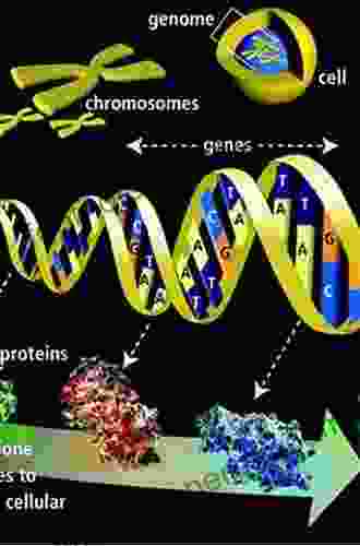 Plant Cytogenetics: Genome Structure And Chromosome Function (Plant Genetics And Genomics: Crops And Models 4)