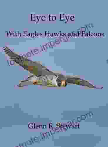 Eye To Eye With Eagles Hawks And Falcons