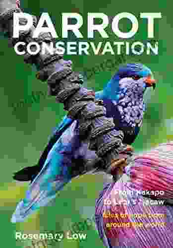 Parrot Conservation: From Kakapo To Lear S Macaw Tales Of Hope From Around The World