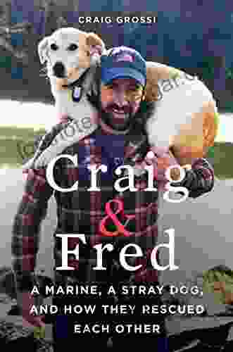 Craig Fred: A Marine A Stray Dog And How They Rescued Each Other