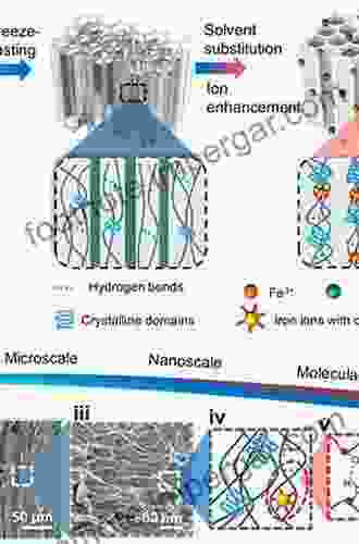 Breath Figures: Mechanisms Of Multi Scale Patterning And Strategies For Fabrication And Applications Of Microstructured Functional Porous Surfaces