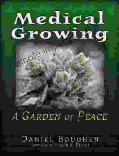 Medical Growing: A Garden Of Peace