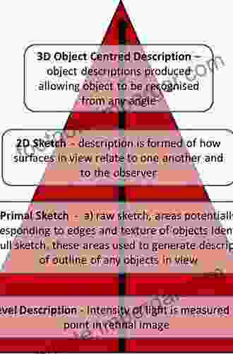 The Psychology Of Perception: A Philosophical Examination Of Gestalt Theory And Derivative Theories Of Perception (Psychology Library Editions: Perception 13)