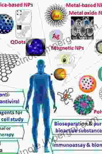 Inorganic Nanoparticles: Synthesis Applications And Perspectives (Nanomaterials And Their Applications)