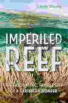 Imperiled Reef: The Fascinating Fragile Life Of A Caribbean Wonder