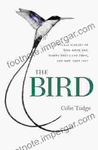 The Bird: A Natural History Of Who Birds Are Where They Came From And How They Live