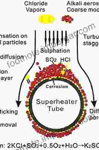 Ash From Coal And Biomass Combustion