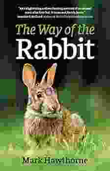 The Way Of The Rabbit