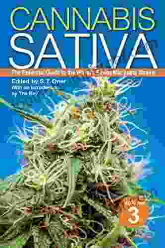 Cannabis Sativa Volume 3: The Essential Guide To The World S Finest Marijuana Strains