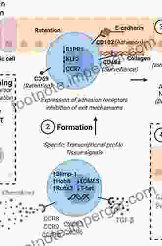 Tissue Specific Cell Signaling John R Hibbing