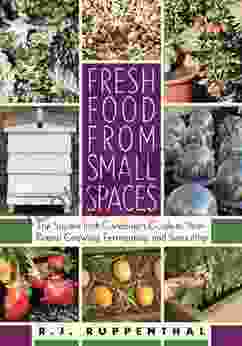 Fresh Food From Small Spaces: The Square Inch Gardener S Guide To Year Round Growing Fermenting And Sprouting