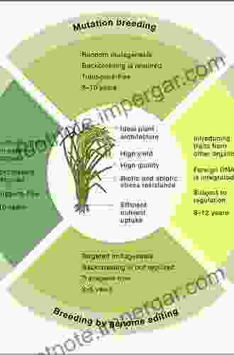 Genome Engineering for Crop Improvement